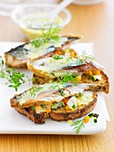 Mackerel and vegetables toasted open sandwiches