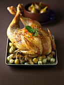 Stuffed capon with figs, grelot onions and chestnuts
