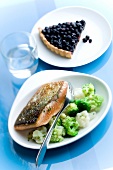 Salmon Tataki with three types of cabbages,slice of bilberry tart