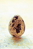 Quail's egg