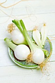 Spring onions