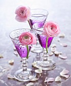 Violet cocktails