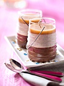 Vanilla-flavored panna cotta, chocolate and toffee-ginger sauce