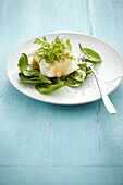 Steamed cod with fresh herbs and spinach
