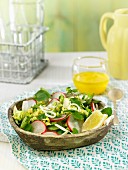 Corn salad, radish and avocado salad