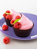 Raspberry mousse in a dark chocolate casing