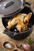 Young cockerel from bresse with black olives and steamed with Absinthe