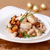 Scallops with white haricot beans and chanterelles