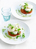 Scallops with tomatoes and avocado puree