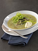 Vichyssoise soup with oysters