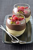 Mic-mac cream dessert with raspberries