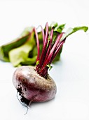 Raw beetroot on a white background
