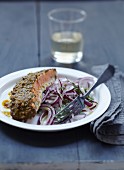 Salmon in chermoula sauce and red onion salad