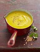 Cream of orange lentil,carrot and coconut milk soup from India