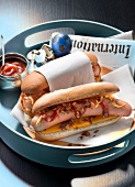 USA : Hot-dog with fried onions