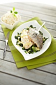 Sea bream fillets with spinach