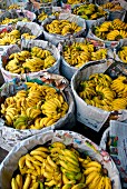 Frische Bananen in Körben (Bangkok)