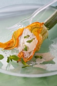 Zucchini flower with cream cheese,parmesan and mint