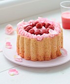 Raspberry angel cake