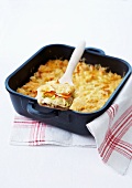 Fish and curly cabbage gratin