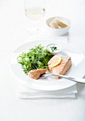Steamed salmon steak with lemon,watercress sprout and thin strips of cucumber salad