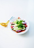 Watermelon, honeydew melon, cucumber and red onion salad