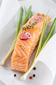Piece of salmon on a sheet of wax paper