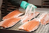 Preparing Irish salmon: salting
