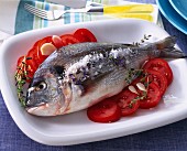 Sea bream with coarse salt, tomatoes with garlic and thyme