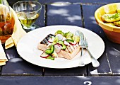 Grilled salmon with dill,radish and cucumber salad
