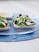 Avocado,sprout,wasabi and beetroot cereal bread sandwich