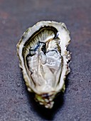 Hollow oyster