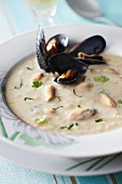 Mussel and cider chowder