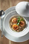 Roasted scallops,creamed jerusalem atichokesoup with chitterlings sausage and cider