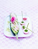 Cucumber with thinly sliced radishes and daisies