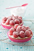 Raspberry tartlets