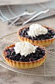 Blueberry pies with whipped cream
