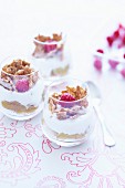 Fromage blanc with rhubarb mousse and cereals