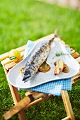 Grilled sea bass outdoors