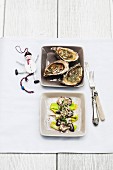 Gratinierte Austern mit Haselnüssen und rohe Austern auf Lauchbett, Muskat-Vinaigrette