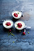 Panna cotta with pistachios and strawberry puree