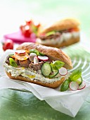 Philadelphia cream cheese,thinly sliced beef and raw vegetable sandwich