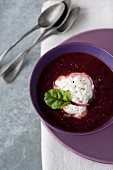 Cold beetroot soup with horseradish whipped cream