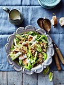 Sucrine,chicken and cereal salad with white sauce