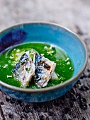 Grilled mackerels in watercress broth with garlic flowers