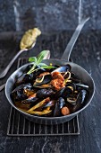 Mussels with spices,fennel and onion