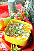 Fennel salad with oranges and radishes for a picnic