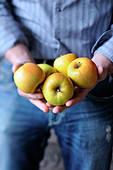 Man holding apples