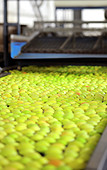 Äpfel auf Förderband in der Fabrik