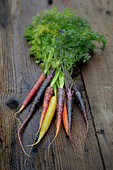 Assortment of different colored carrots